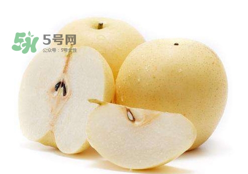 皇冠梨和雪花梨哪個(gè)好？雪花梨和皇冠梨的區(qū)別