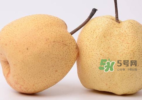 碭山梨什么時(shí)候成熟？碭山梨幾月份成熟