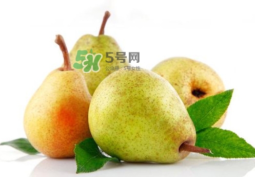 梨子是什么季節(jié)的水果？梨子什么季節(jié)吃最好