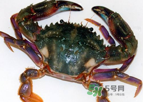螃蟹腿藍(lán)色的是什么？螃蟹腿為什么是藍(lán)色？