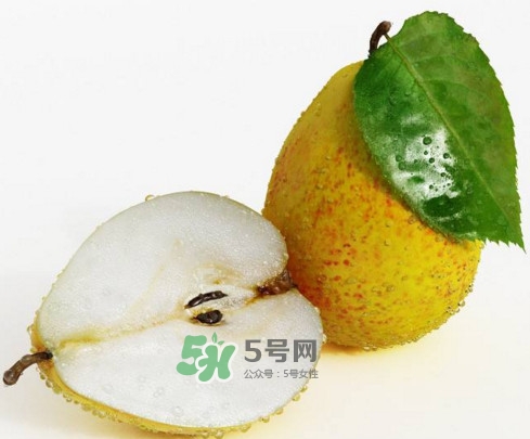 梨子核可以種盆栽嗎？梨子籽怎么種小盆栽