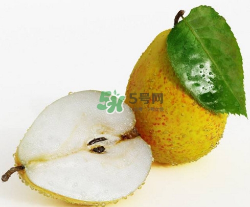 為什么梨子是溫度最高的水果？梨子什么人不能吃