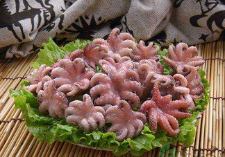 八爪魚煮多久才好？八爪魚需要煮多久？