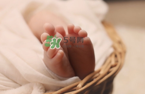 孕婦怎么吃燕窩最好？哪些孕媽需要吃燕窩？
