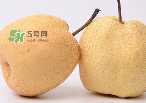 碭山梨好還是皇冠梨好？碭山梨和皇冠梨的區(qū)別