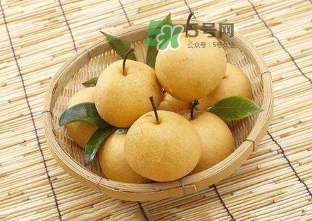 梨子怎么保存？梨子可以放冰箱嗎