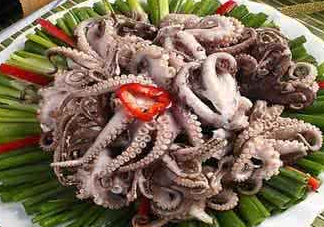 八爪魚可以冷凍嗎？八爪魚可以放冰箱嗎？