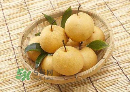 買梨子怎么挑選？梨子外面為什么要包張紙