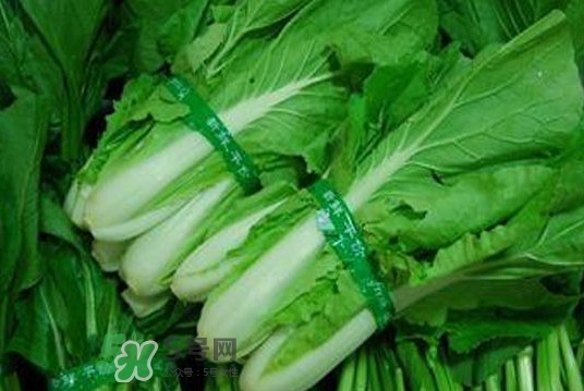 水白菜可以吃嗎？水白菜能吃嗎
