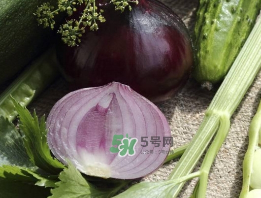 皮芽子發(fā)芽了可以吃嗎？新疆人為什么都愛(ài)吃皮芽子