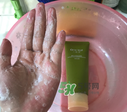一葉子補水潔面乳怎么樣？一葉子補水洗面奶好用嗎？