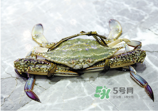 梭子蟹可以和酸奶一起吃嗎？吃完梭子蟹能喝酸奶嗎？