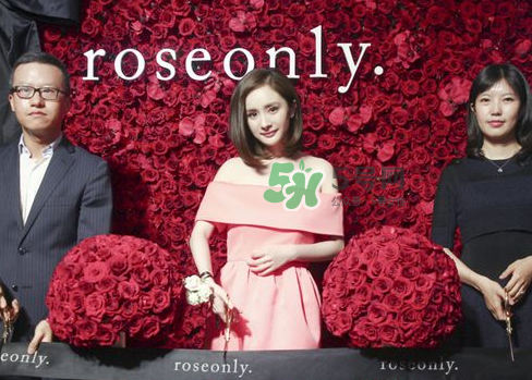 roseonly怎么樣？roseonly好看嗎？