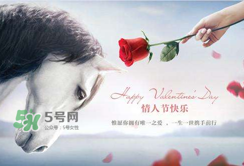roseonly怎么樣？roseonly好看嗎？