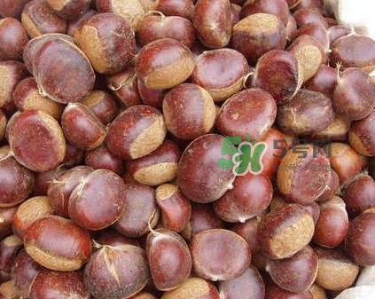 哪里產(chǎn)的板栗最好吃？板栗怎么挑選