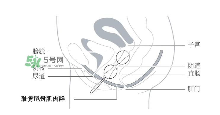 lelo露娜球如何使用方法？露娜球使用感受