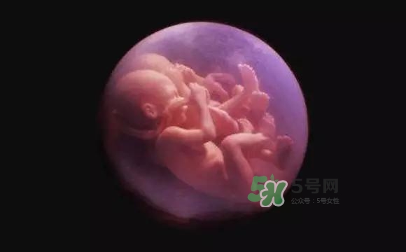 多胞胎是怎么生產(chǎn)的？多胞胎應選擇什么分娩方式