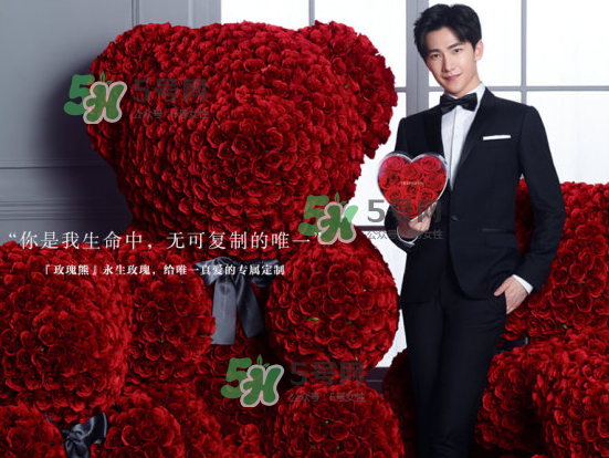 roseonly熊什么材質(zhì)？roseonly玫瑰熊是真花嗎？