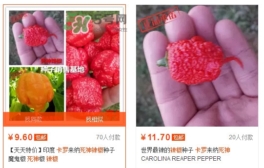 卡羅萊納死神辣椒中國有嗎？死神辣椒哪里有賣