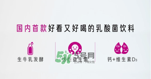 每日活菌乳酸菌多少錢一瓶？每日活菌乳酸菌好喝嗎？