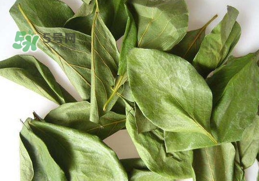 怎樣制作柿子葉茶？柿子葉茶的做法