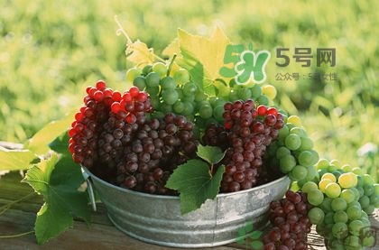 秋天成熟的水果有哪些？秋天吃水果有哪些禁忌