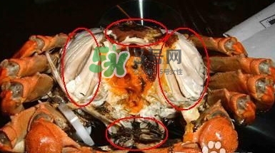 螃蟹怎么吃好吃？螃蟹和什么一起吃最好？