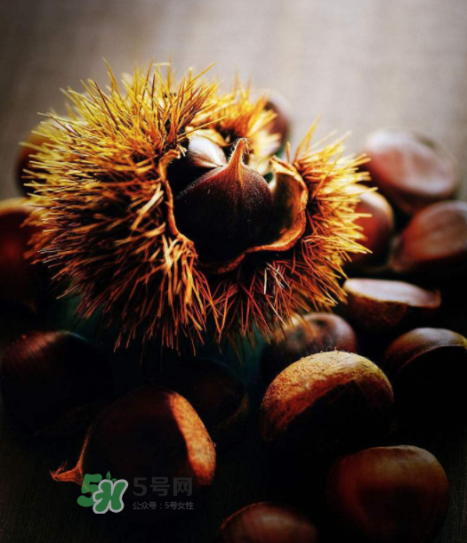 板栗能補(bǔ)腎嗎？板栗補(bǔ)腎陰還是腎陽(yáng)？