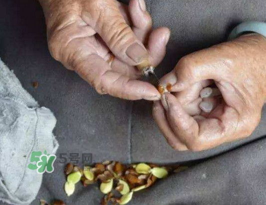 皂角米是怎么剝出來的？皂角米是酸性還是堿性