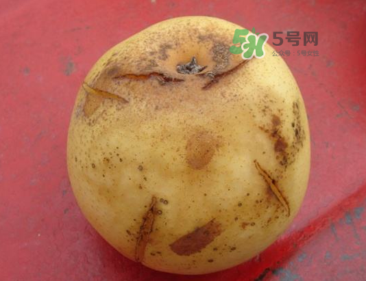 皇冠梨雞爪病能吃嗎？皇冠梨雞爪病怎么辦？