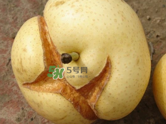 皇冠梨雞爪病能吃嗎？皇冠梨雞爪病怎么辦？