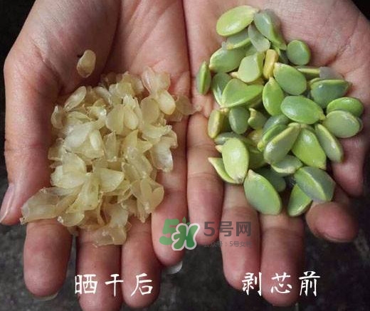 皂角米是什么味道？皂角米是什么顏色