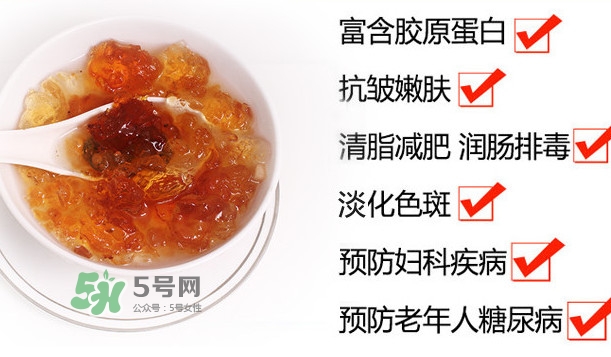 桃膠是桃樹(shù)上的膠嗎？桃膠是什么味道