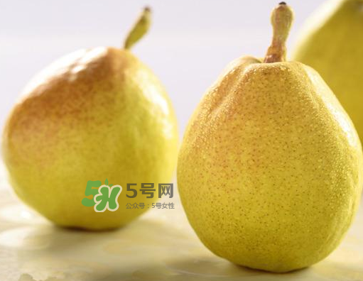 香梨能不能熬冰糖雪梨？香梨可以做冰糖雪梨嗎？