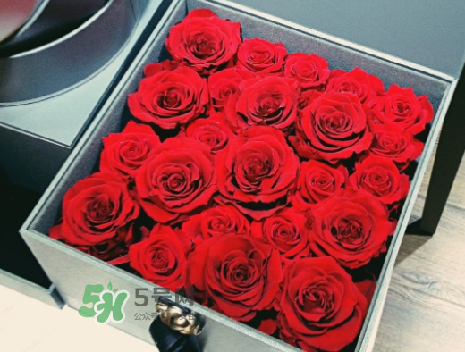 roseonly怎么買？roseonly如何買第二次？