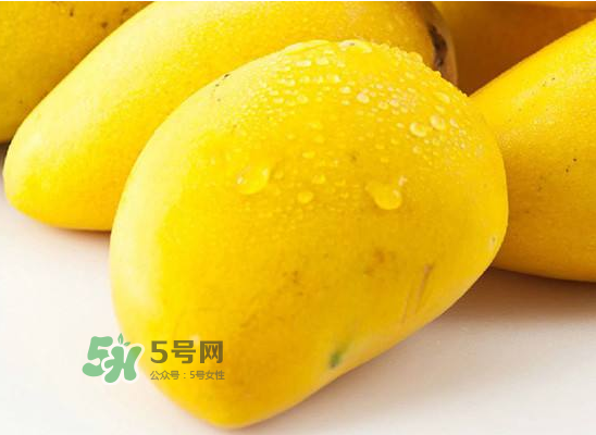有胃病的人能吃芒果嗎？吃芒果對胃有刺激嗎？