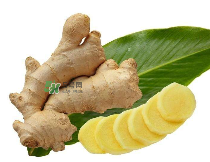 胃病患者可以長期食用生姜嗎？胃不好能不能吃姜？