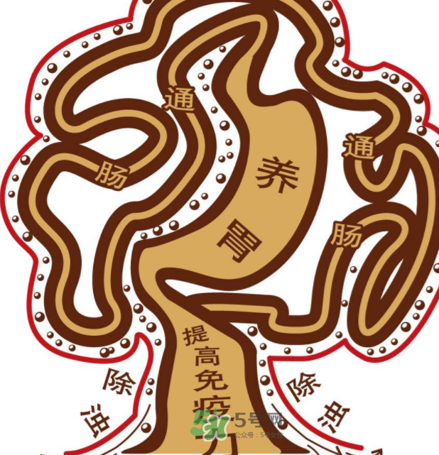 腸胃不好會引起頭暈嗎？頭暈與腸胃不好有關(guān)系嗎？