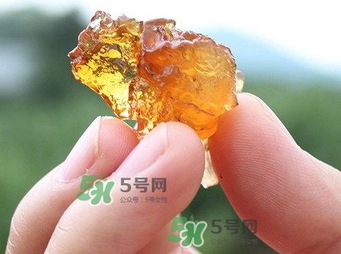 桃膠可以和什么一起煮？桃膠不能和什么一起吃