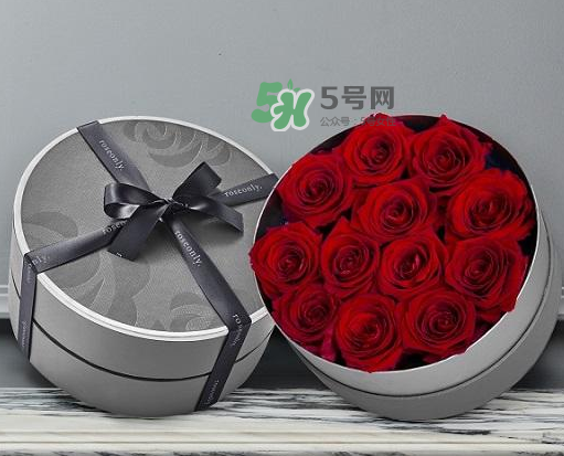 roseonly怎么讀？roseonly怎么讀在線讀？