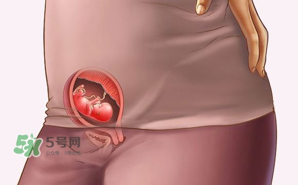 孕期尿頻什么時候開始？孕期尿頻特別嚴重