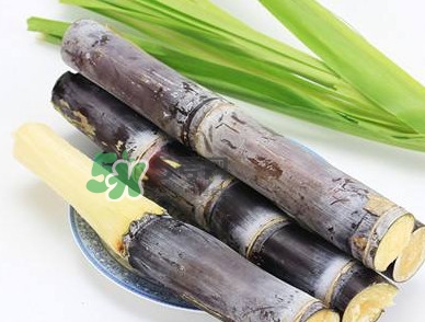 甘蔗什么時(shí)候成熟？甘蔗什么時(shí)候上市