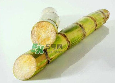甘蔗是哪里的特產(chǎn)？甘蔗是什么地方的特產(chǎn)