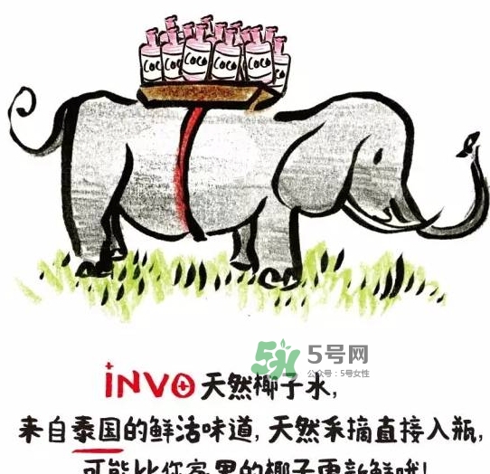 invo椰子水多少錢？invo椰子水好喝嗎？