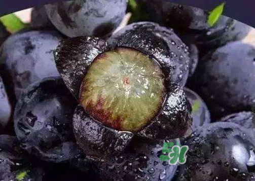 戶太八號多少錢一斤？戶太八號為什么在全國很有名？