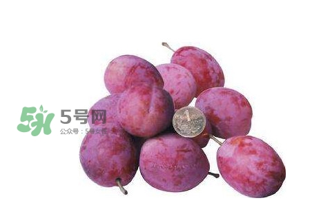 西梅什么時(shí)候上市？新疆西梅什么時(shí)候上市