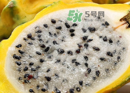 黃龍果的熱量 黃龍果可以減肥嗎？
