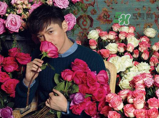 野獸派和roseonly哪個(gè)好？野獸派和roseonly區(qū)別