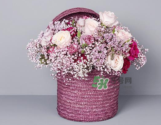 野獸派和roseonly哪個(gè)好？野獸派和roseonly區(qū)別