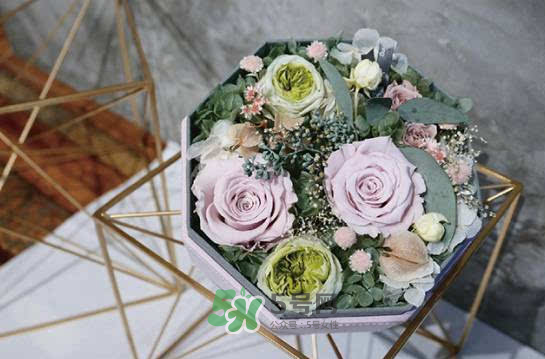 野獸派永生花會死嗎？野獸派永生花是什么？